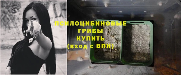 кокаин Горнозаводск