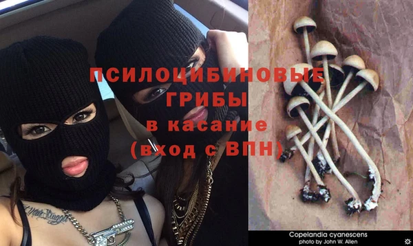 гашиш Горняк