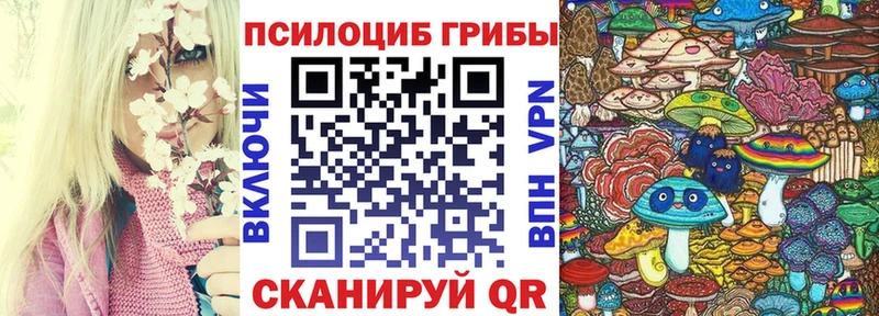 Галлюциногенные грибы Psilocybine cubensis Закаменск